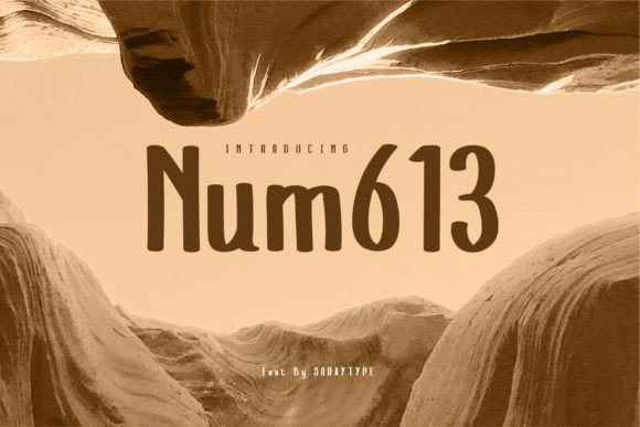 Num613: The Organic Display Font for Authentic Campaigns